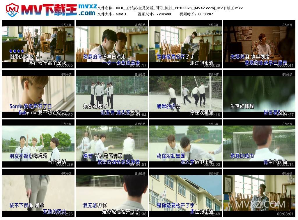 IN K_王忻辰-全是笑话_国语_流行_YE100023